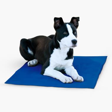 The Instant Cooling Pet Mat (Small)