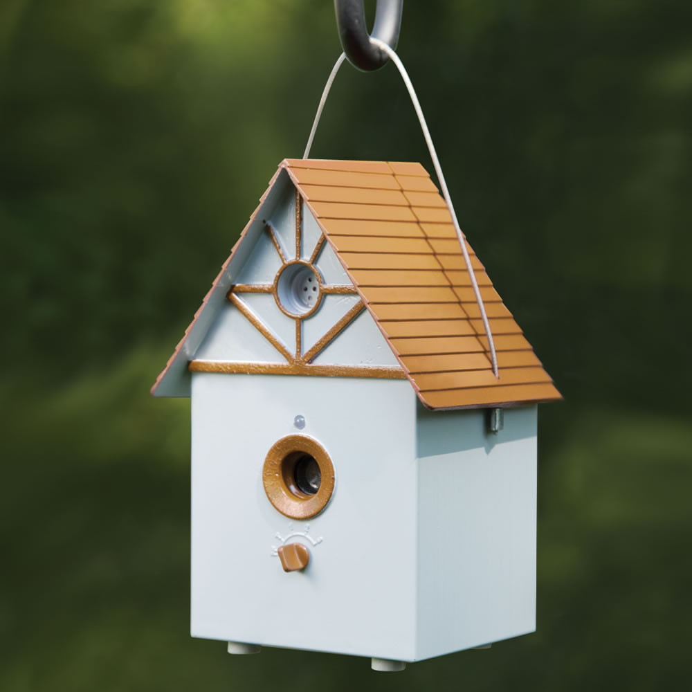 dog barking birdhouse