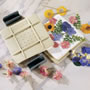 Gsm Brands Microwave Flower Press Kit For Drying Leaf, Plant, And, Microwave Flo