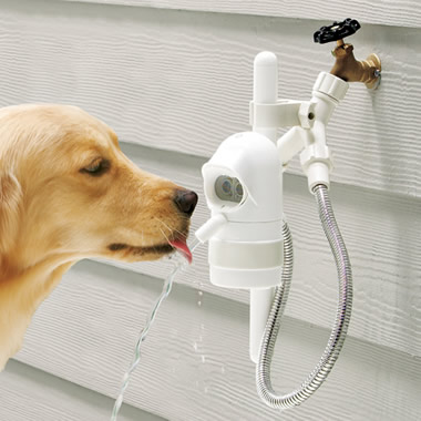 The Dog Activated Outdoor Fountain