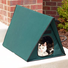 The Only Outdoor Heated Multi Cat Shelter