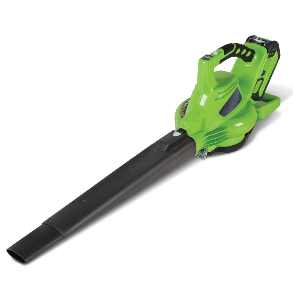 The Best Rechargeable Leaf Blower - Hammacher Schlemmer