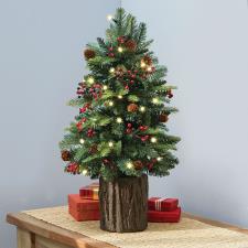 The Tabletop Prelit Christmas Tree