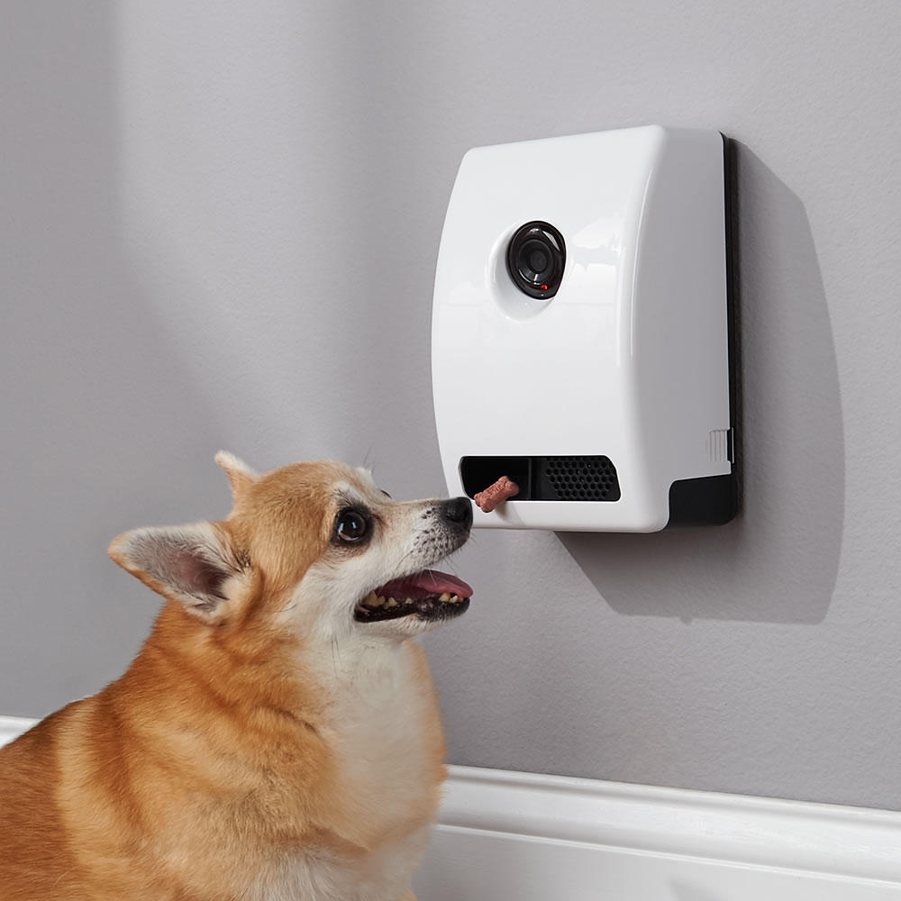 remote pet treat dispenser