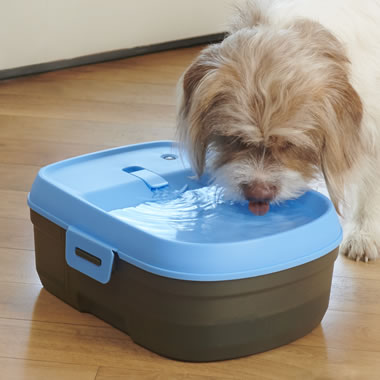The Pet's Cordless Filtered Water Fountain