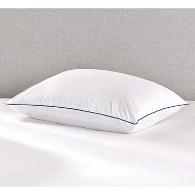 The Water Chamber Support Pillow
