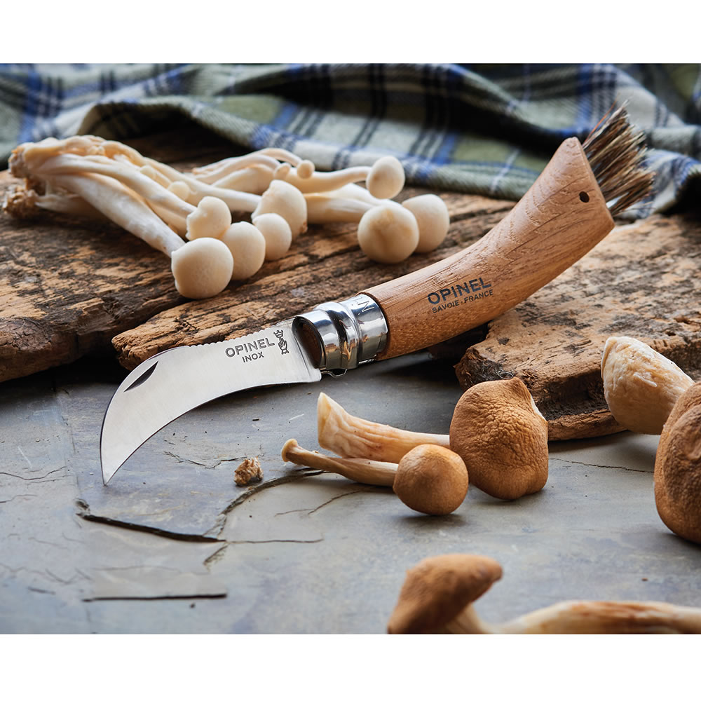 Opinel Mushroom Hunting Knife, Stainless Steel, Beech Wood, Boar's