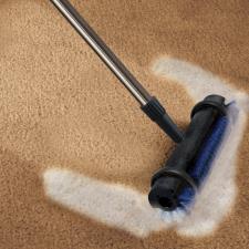 The Instant Rug Rejuvenator