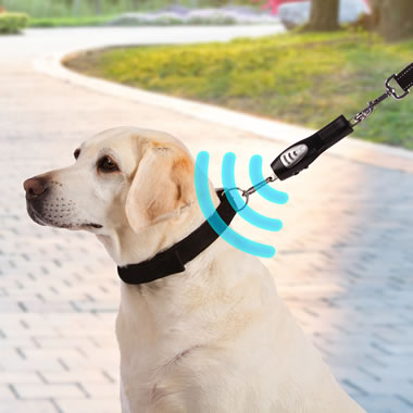 The Excitable Dog's Ultrasonic Walking Trainer