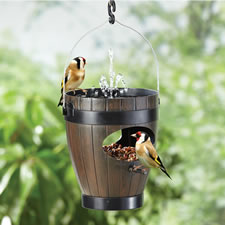 The Avian Oasis