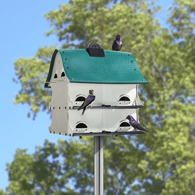 The Purple Martin Migration House