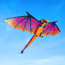 remote control flying dragon toy