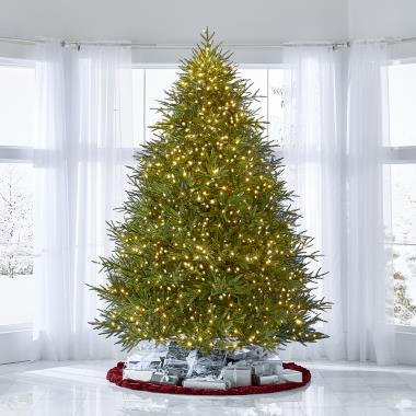 The World's Best Prelit Fraser Fir (9.5' Full LED)