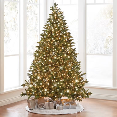 The World's Best Prelit LED Noble Fir (7.5' Full)