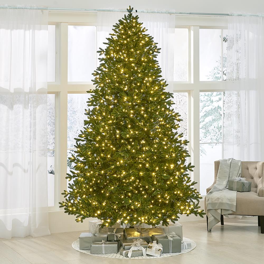 World's Best Prelit LED Noble Fir - 9.5' Medium - White Christmas Tree