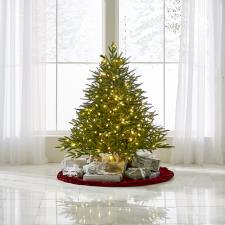 The World's Best Prelit Fraser Fir