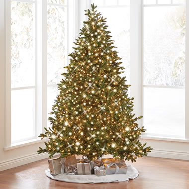The World's Best Prelit Incandescent Noble Fir (7.5' Full)