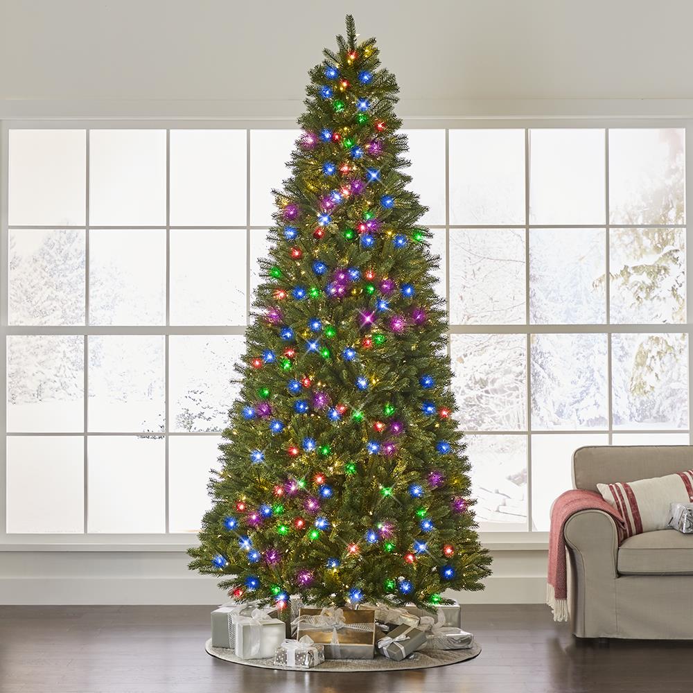 World's Best Prelit Douglas Fir - 9.5' Slim - White Christmas Tree