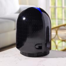 The Mold and Germ Destroying Air Purifier (650 sq. ft.)