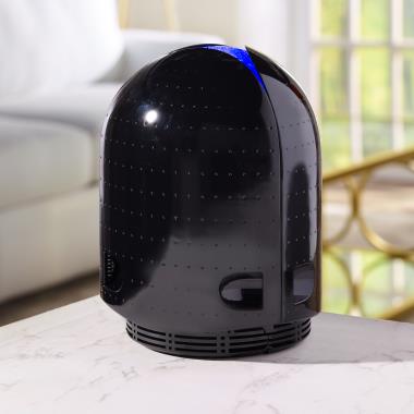 The Virus, Mold, And Germ Destroying Air Purifier (650' sq.)