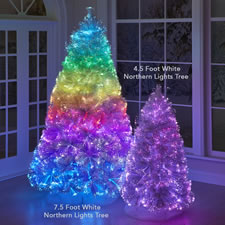 The White Northern Lights Tree (4 1/2')