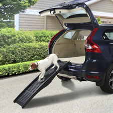 The Lightweight Foldable Dog Ramp