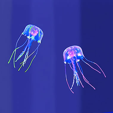 The Two Pack Of Mini Jellyfish