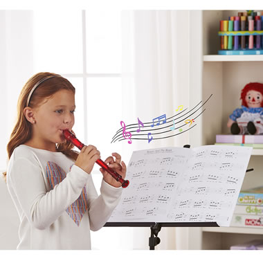 The Learn And Play Disney Soundtrack Recorder