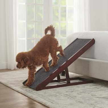 The Height Adjustable Foldaway Dog Ramp