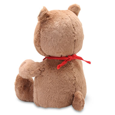 singing teddy bears personalized