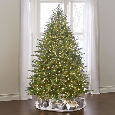 The World's Best Prelit Concolor Fir (8.5' Slim LED)