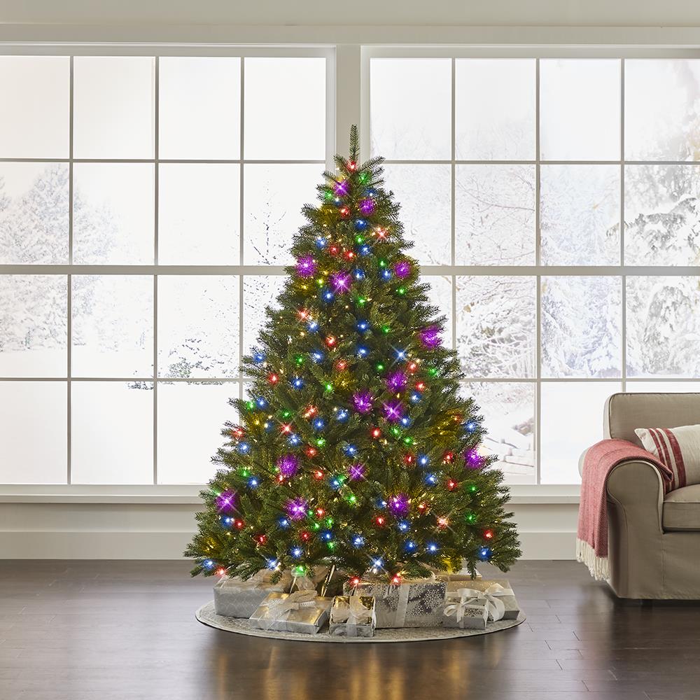 World's Best Prelit Douglas Fir - 6.5' Full - White Christmas Tree
