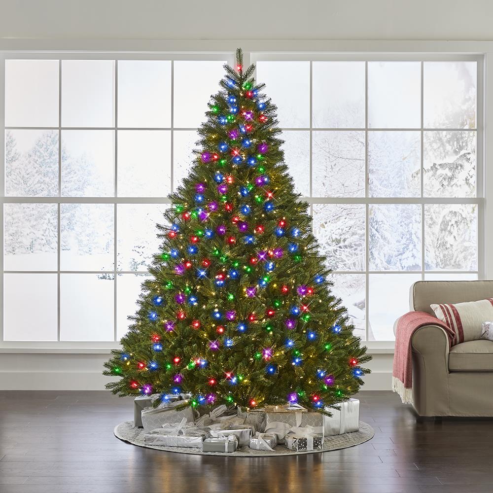 World's Best Prelit Douglas Fir - 7.5' Full - White Christmas Tree