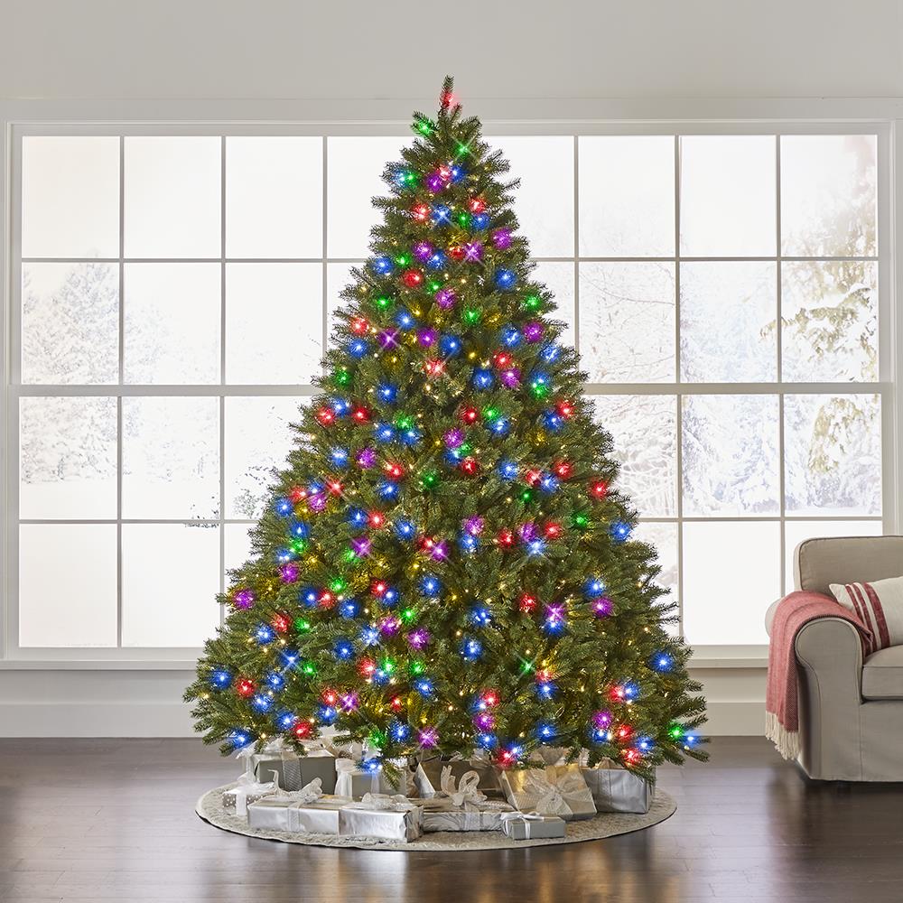 World's Best Prelit Douglas Fir - 8.5' Full - White Christmas Tree