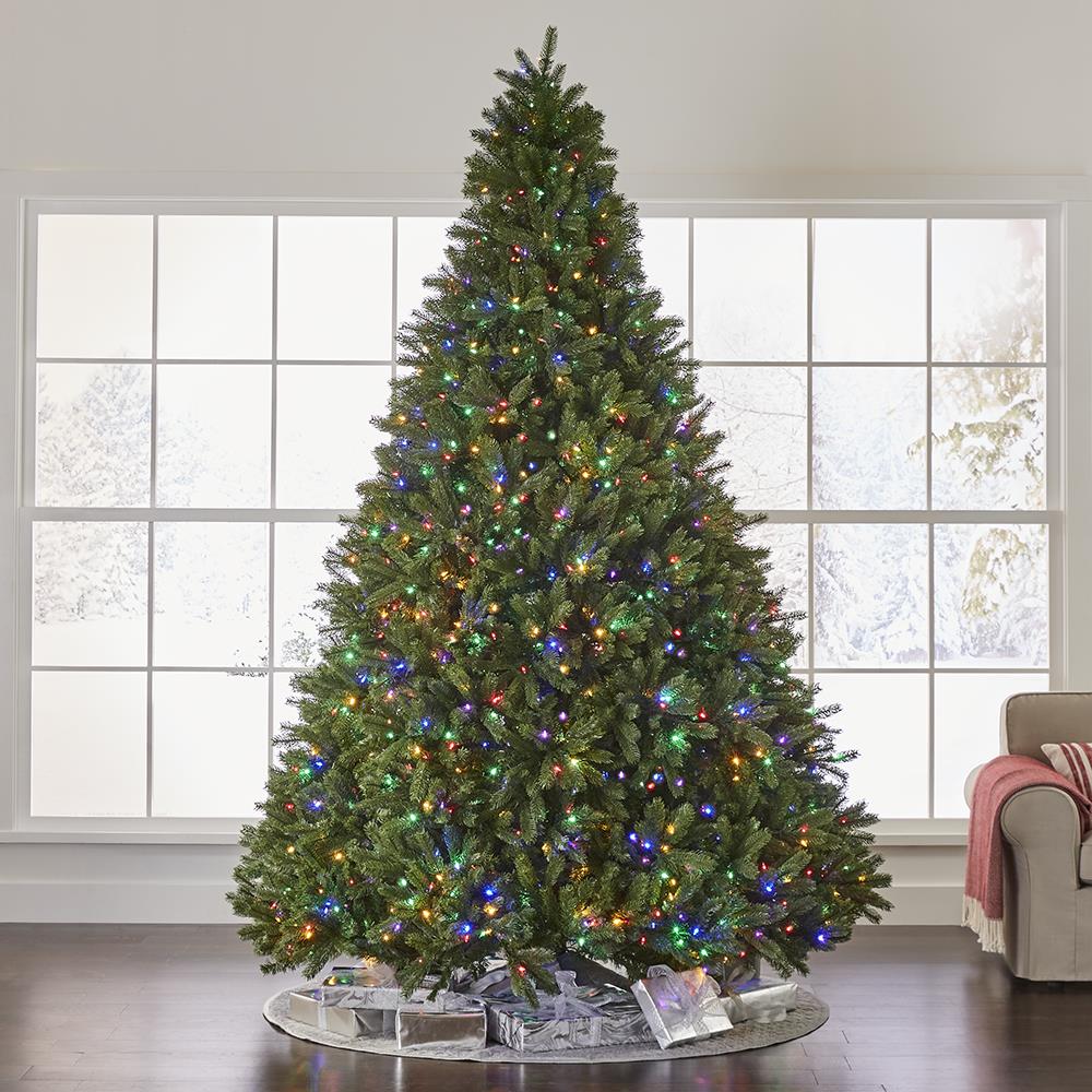 World's Best Prelit Douglas Fir - 9.5' Full - White Christmas Tree