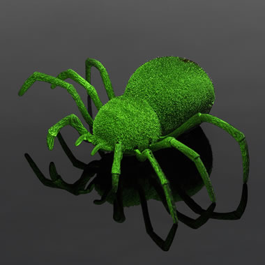 The Realistic Movement Remote Controlled Spider