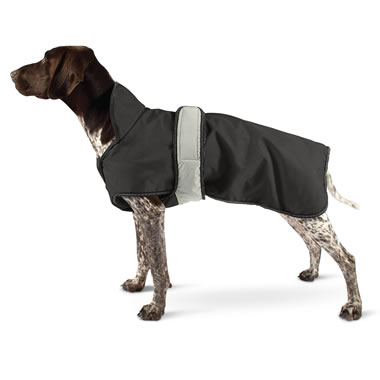 The All Weather Dog Coat