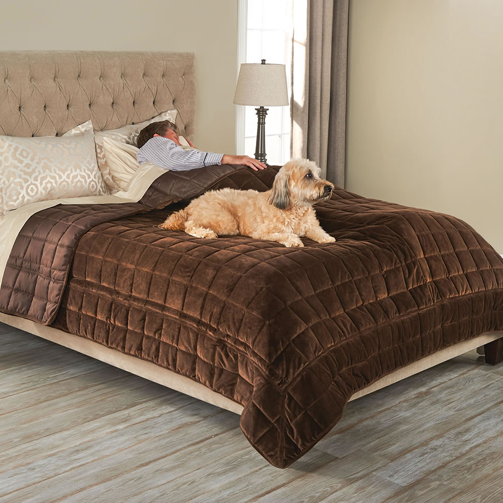 Bed Protecting Pet Cover - King
