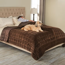 The Bed Protecting Pet Cover (King)