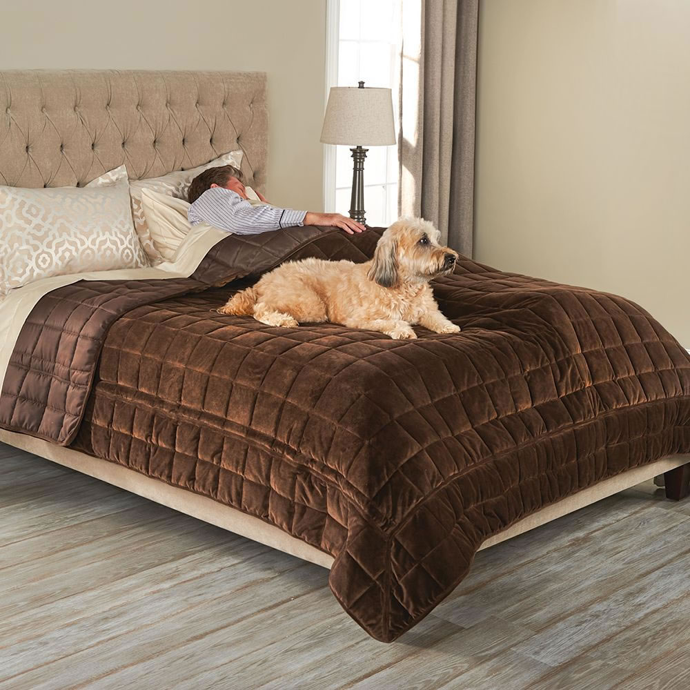 Bed Protecting Pet Cover - Queen
