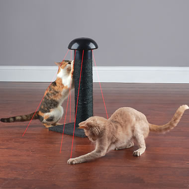 The Felines Laser Chasing Scratch Post