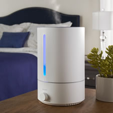 The Mold And Germ Thwarting Humidifier