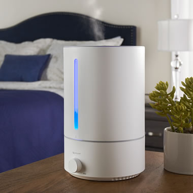 The Mold And Germ Thwarting Humidifier