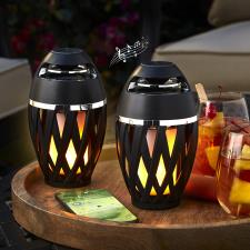 The Tiki Torch Speakers