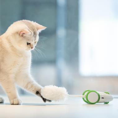 The Award Winning Cat String Toy - Hammacher Schlemmer