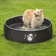 The Pop Up Canine Splash Pool