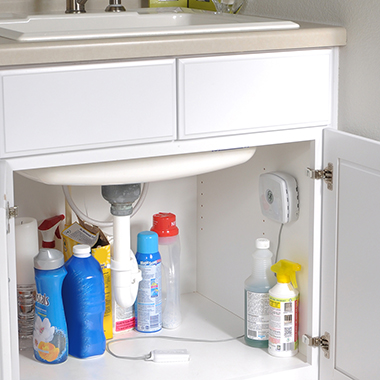 The Home Water Leak Alert System