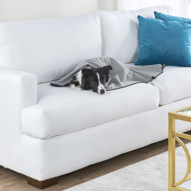 The Pet's Therapy Blanket
