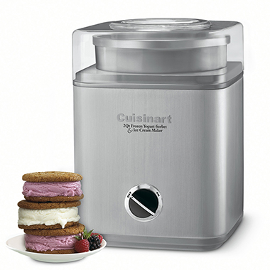 The 25 Minute Automatic Ice Cream Maker