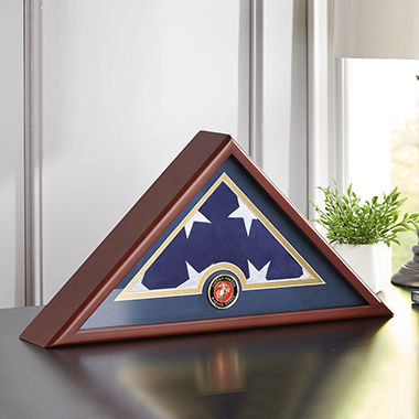 The U.S. Military Branch Medallion Flag Case